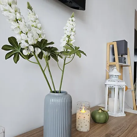 Apartman Stern Im &hearts Von *